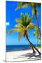 Palms on a White Sand Beach in Key West - Florida-Philippe Hugonnard-Mounted Photographic Print