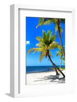 Palms on a White Sand Beach in Key West - Florida-Philippe Hugonnard-Framed Photographic Print