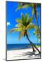 Palms on a White Sand Beach in Key West - Florida-Philippe Hugonnard-Mounted Photographic Print