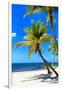 Palms on a White Sand Beach in Key West - Florida-Philippe Hugonnard-Framed Photographic Print