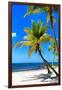 Palms on a White Sand Beach in Key West - Florida-Philippe Hugonnard-Framed Photographic Print