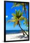 Palms on a White Sand Beach in Key West - Florida-Philippe Hugonnard-Framed Photographic Print