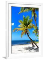 Palms on a White Sand Beach in Key West - Florida-Philippe Hugonnard-Framed Photographic Print