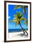 Palms on a White Sand Beach in Key West - Florida-Philippe Hugonnard-Framed Photographic Print