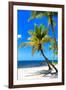 Palms on a White Sand Beach in Key West - Florida-Philippe Hugonnard-Framed Photographic Print