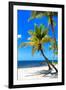 Palms on a White Sand Beach in Key West - Florida-Philippe Hugonnard-Framed Photographic Print