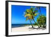 Palms on a White Sand Beach in Key West - Florida-Philippe Hugonnard-Framed Photographic Print