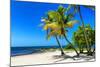 Palms on a White Sand Beach in Key West - Florida-Philippe Hugonnard-Mounted Photographic Print