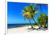 Palms on a White Sand Beach in Key West - Florida-Philippe Hugonnard-Framed Photographic Print