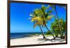 Palms on a White Sand Beach in Key West - Florida-Philippe Hugonnard-Framed Photographic Print