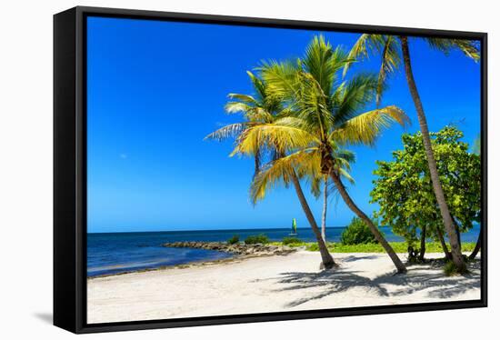 Palms on a White Sand Beach in Key West - Florida-Philippe Hugonnard-Framed Stretched Canvas