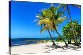 Palms on a White Sand Beach in Key West - Florida-Philippe Hugonnard-Stretched Canvas