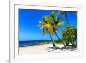 Palms on a White Sand Beach in Key West - Florida-Philippe Hugonnard-Framed Photographic Print