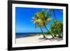 Palms on a White Sand Beach in Key West - Florida-Philippe Hugonnard-Framed Photographic Print