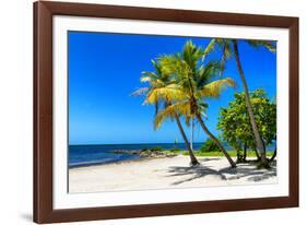 Palms on a White Sand Beach in Key West - Florida-Philippe Hugonnard-Framed Photographic Print