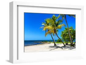 Palms on a White Sand Beach in Key West - Florida-Philippe Hugonnard-Framed Photographic Print