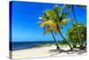 Palms on a White Sand Beach in Key West - Florida-Philippe Hugonnard-Stretched Canvas