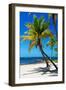 Palms on a White Sand Beach in Key West - Florida-Philippe Hugonnard-Framed Photographic Print