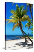 Palms on a White Sand Beach in Key West - Florida-Philippe Hugonnard-Stretched Canvas