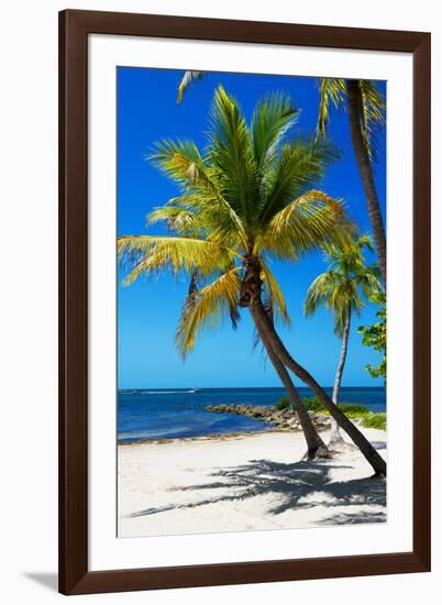 Palms on a White Sand Beach in Key West - Florida-Philippe Hugonnard-Framed Photographic Print