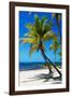 Palms on a White Sand Beach in Key West - Florida-Philippe Hugonnard-Framed Photographic Print