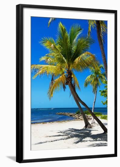 Palms on a White Sand Beach in Key West - Florida-Philippe Hugonnard-Framed Photographic Print