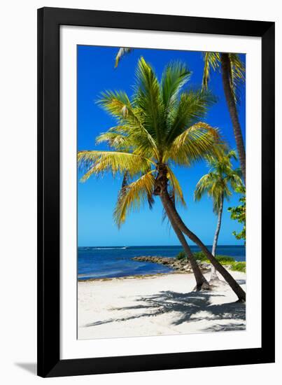 Palms on a White Sand Beach in Key West - Florida-Philippe Hugonnard-Framed Photographic Print