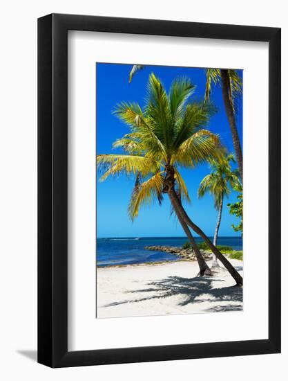 Palms on a White Sand Beach in Key West - Florida-Philippe Hugonnard-Framed Photographic Print