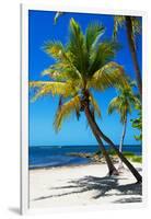 Palms on a White Sand Beach in Key West - Florida-Philippe Hugonnard-Framed Photographic Print