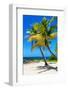 Palms on a White Sand Beach in Key West - Florida-Philippe Hugonnard-Framed Photographic Print