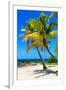 Palms on a White Sand Beach in Key West - Florida-Philippe Hugonnard-Framed Premium Photographic Print