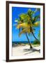 Palms on a White Sand Beach in Key West - Florida-Philippe Hugonnard-Framed Premium Photographic Print