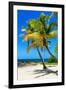 Palms on a White Sand Beach in Key West - Florida-Philippe Hugonnard-Framed Premium Photographic Print