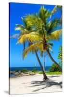 Palms on a White Sand Beach in Key West - Florida-Philippe Hugonnard-Stretched Canvas