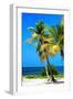 Palms on a White Sand Beach in Key West - Florida-Philippe Hugonnard-Framed Photographic Print