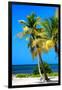 Palms on a White Sand Beach in Key West - Florida-Philippe Hugonnard-Framed Photographic Print