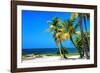 Palms on a White Sand Beach in Key West - Florida-Philippe Hugonnard-Framed Photographic Print