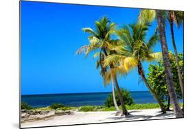 Palms on a White Sand Beach in Key West - Florida-Philippe Hugonnard-Mounted Photographic Print