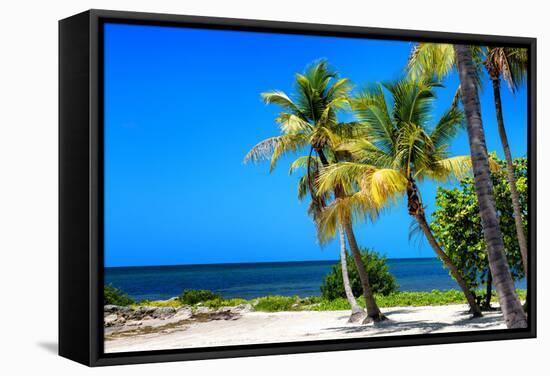 Palms on a White Sand Beach in Key West - Florida-Philippe Hugonnard-Framed Stretched Canvas