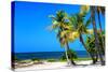 Palms on a White Sand Beach in Key West - Florida-Philippe Hugonnard-Stretched Canvas