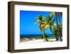 Palms on a White Sand Beach in Key West - Florida-Philippe Hugonnard-Framed Photographic Print