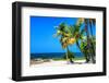 Palms on a White Sand Beach in Key West - Florida-Philippe Hugonnard-Framed Photographic Print