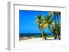 Palms on a White Sand Beach in Key West - Florida-Philippe Hugonnard-Framed Photographic Print