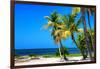 Palms on a White Sand Beach in Key West - Florida-Philippe Hugonnard-Framed Photographic Print