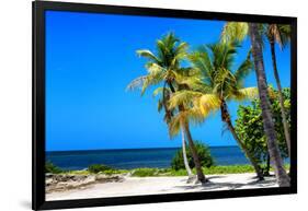 Palms on a White Sand Beach in Key West - Florida-Philippe Hugonnard-Framed Photographic Print