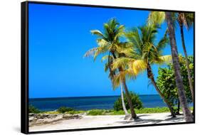 Palms on a White Sand Beach in Key West - Florida-Philippe Hugonnard-Framed Stretched Canvas