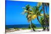 Palms on a White Sand Beach in Key West - Florida-Philippe Hugonnard-Stretched Canvas