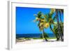 Palms on a White Sand Beach in Key West - Florida-Philippe Hugonnard-Framed Photographic Print