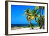 Palms on a White Sand Beach in Key West - Florida-Philippe Hugonnard-Framed Photographic Print