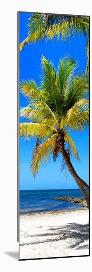 Palms on a White Sand Beach in Key West - Florida-Philippe Hugonnard-Mounted Photographic Print